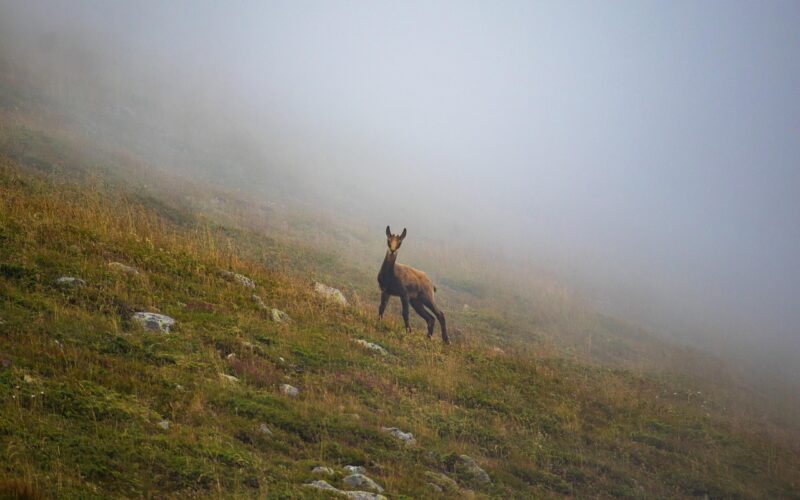 Balkan-Routen: 5 Ideen für deine nächste Reise